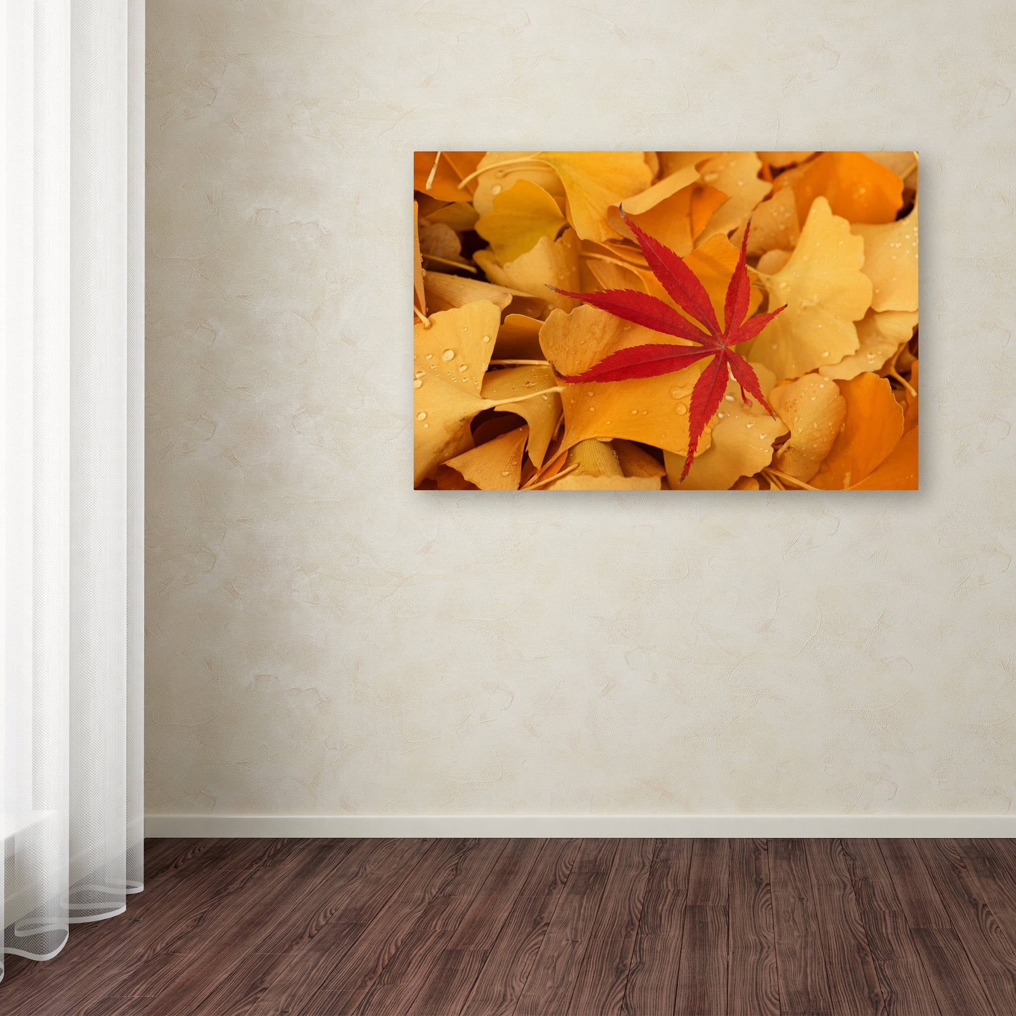 Trademark Fine Art "Red Star" Canvas Art by Philippe Sainte-Laudy