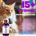 thumbnail image 6 of Oimmal Cat Multivitamin Liquid- Supports Immune Health, Skin, Coat, Heart Health for Cats, Cat Supplements & Vitamins - Chicken Flavor - 4 fl oz, 6 of 11