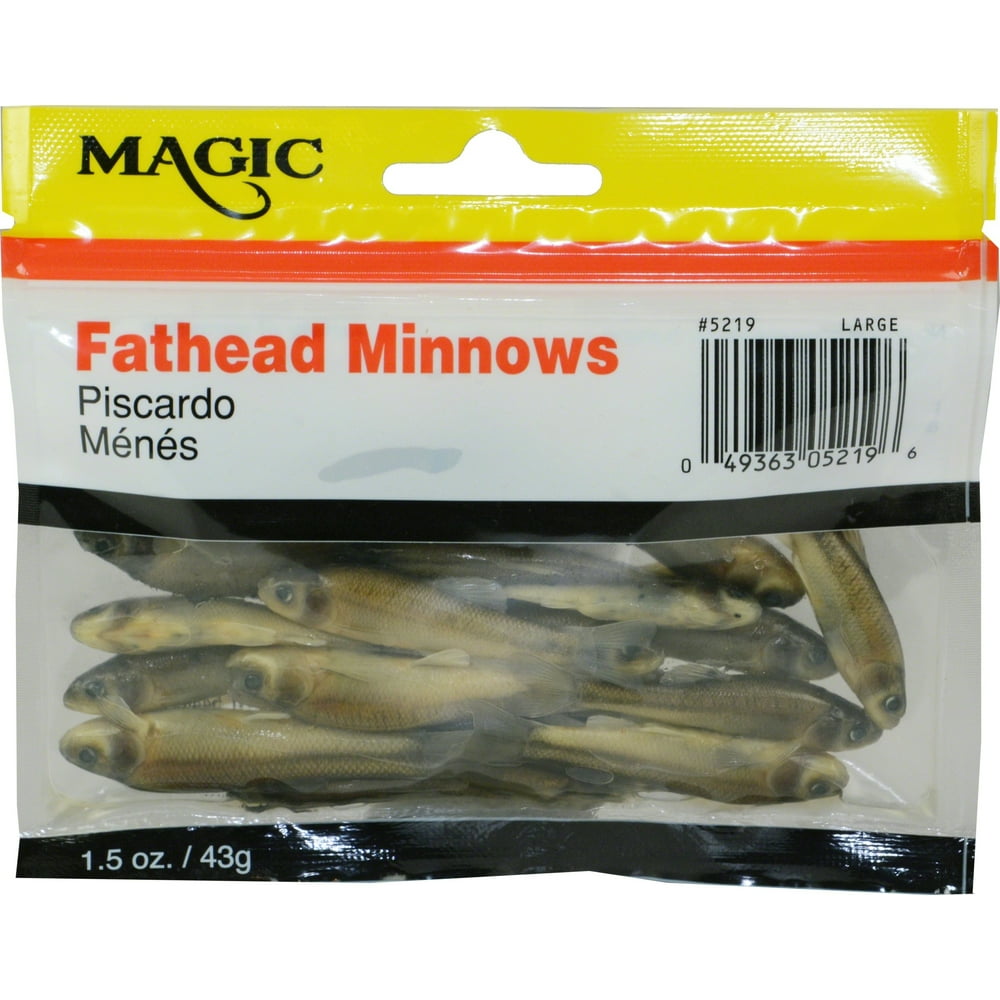 Preserved Fathead Minnows Bait MultiColored