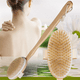 thumbnail image 3 of Cepillo Corporal En Seco Cerdas Naturales UNIVERSOENLINEA.COM Mango Removible, 3 of 10