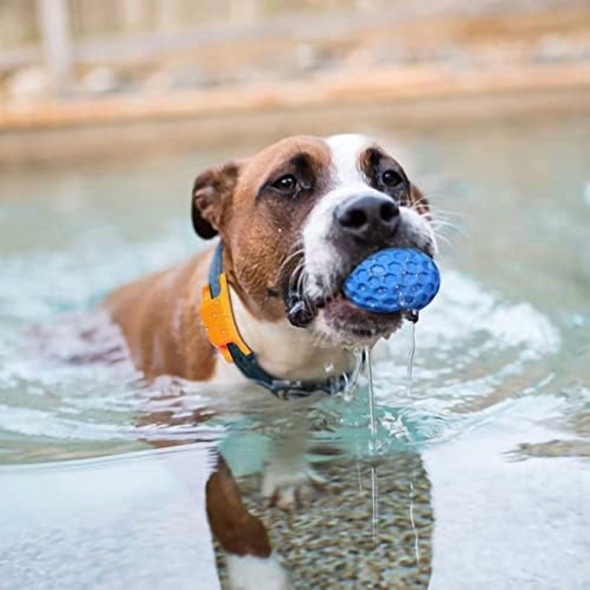 Squeaky Dog Balls, Indestructible Dog Toys for Aggressive Chewers Large/Medium Breed, Natural Rubber Interactive Chew Toys for Teeth Clean, Relieves Anxiety (Blue)