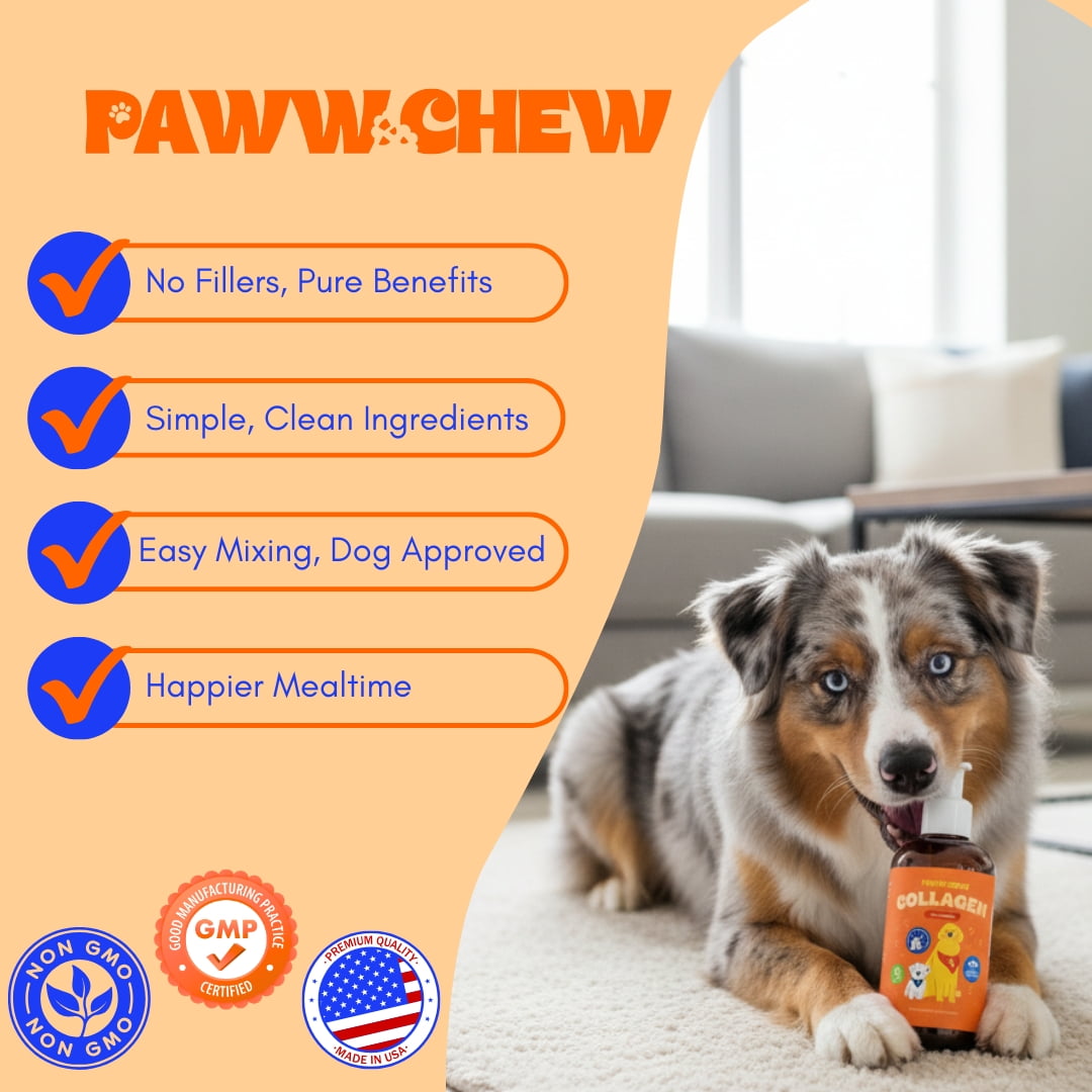Paww Chew Liquid Collagen For Dogs - Hip & Joints Support, Skin and Coat Relief for Dogs With Dry Skin, Itch Relief, Allergy Support with Biotin, MSM and Vitamin C for Joint, Nails, Made in the USA