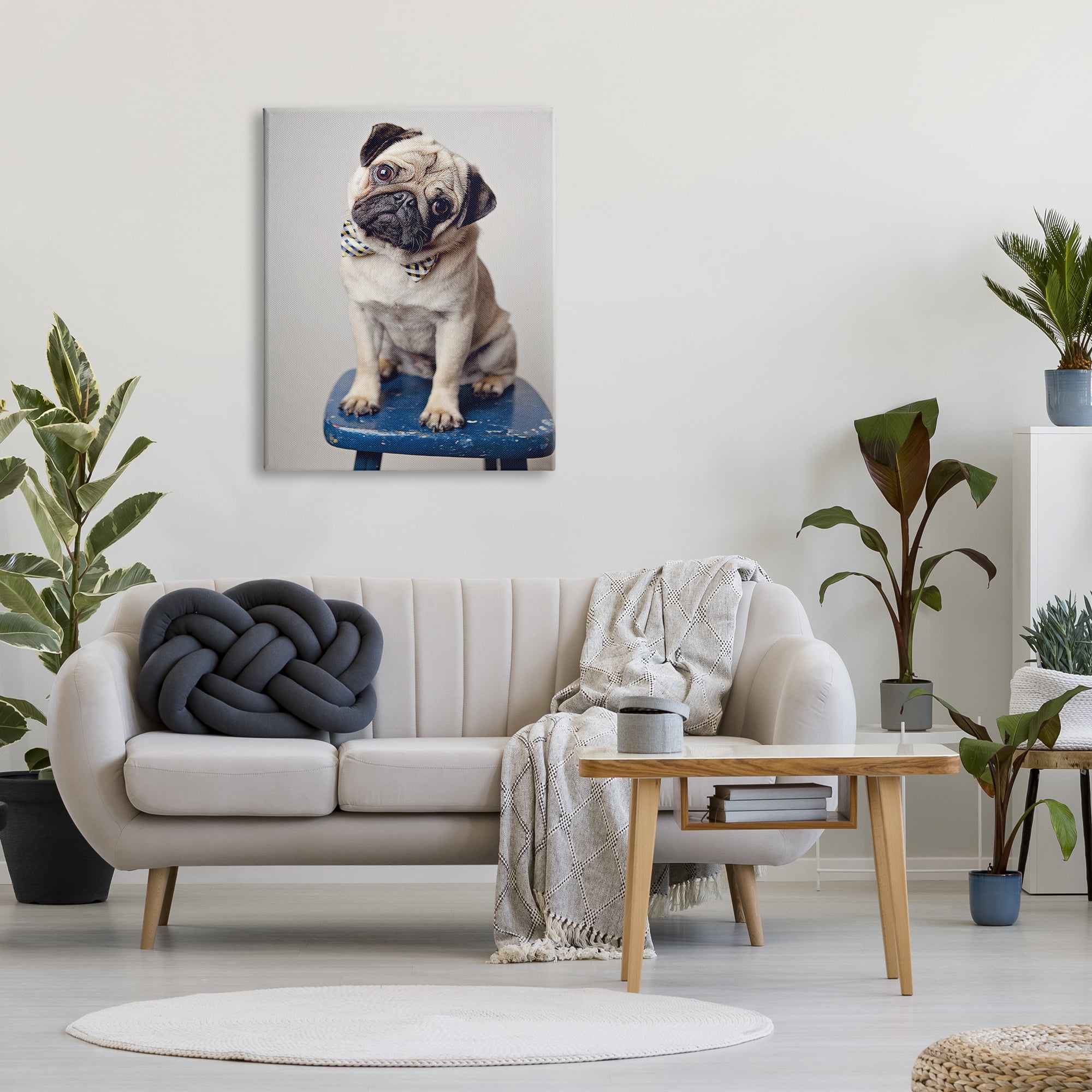 Stupell Industries Pug Bow Tie Blue Stool Pet Portrait Photography, 30 x 40, Design by Michele Reed