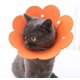 thumbnail image 5 of Uds. Collares para mascotas, Collar antilamer para gatos, ajustable, ligero, 5 of 5