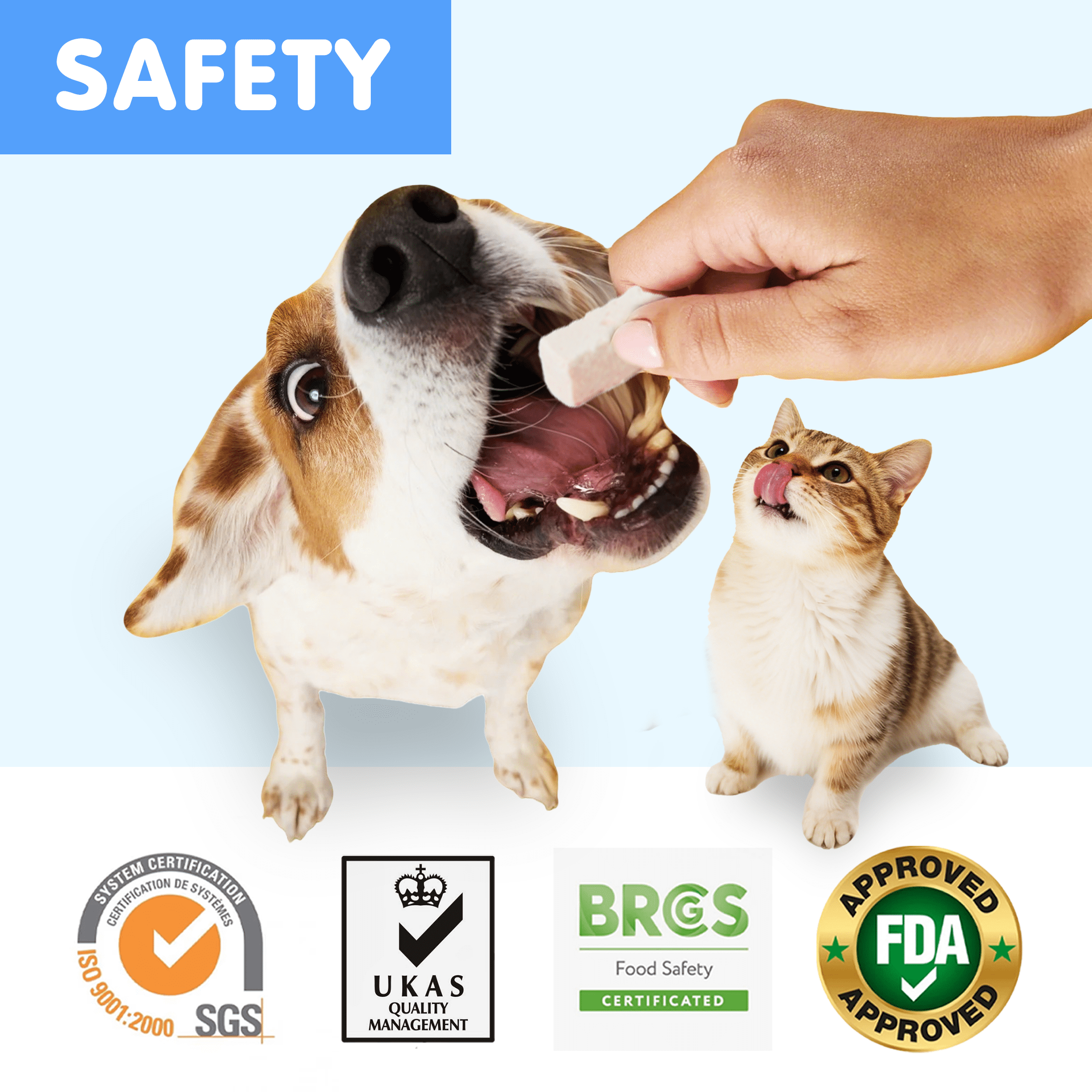 (2 pack) PAWUP Freeze Dried Minnows Dog Treats for Small Medium Large Cats and Dogs, Single Ingredient, Grain Free, Rich in Omega 3 Dog Training Treats, 2.9oz