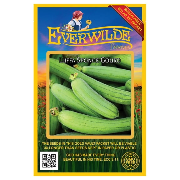 Everwilde Farms - 25 Luffa Sponge Gourd Seeds - Gold Vault Seed Packet