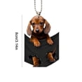thumbnail image 2 of Cachorro Colgante Coche Tamaño Compacto Colgante Mini Juguetes Regalos (Estilo A), 2 of 4