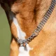 thumbnail image 2 of Collar De Exhibición Cadena Doble Sprenger Inox 50cm*2mm, 2 of 2