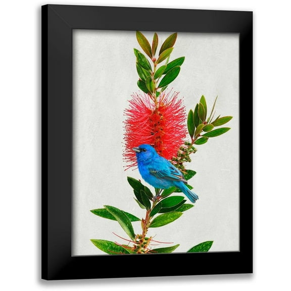Vest, Chris 12x14 Black Modern Framed Museum Art Print Titled - Avian Tropics III