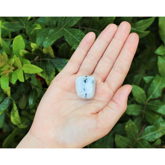 Rainbow Moonstone 1 MEDIUM/LARGE Tumbled Stone Crystal Healing (0.75" - 1")