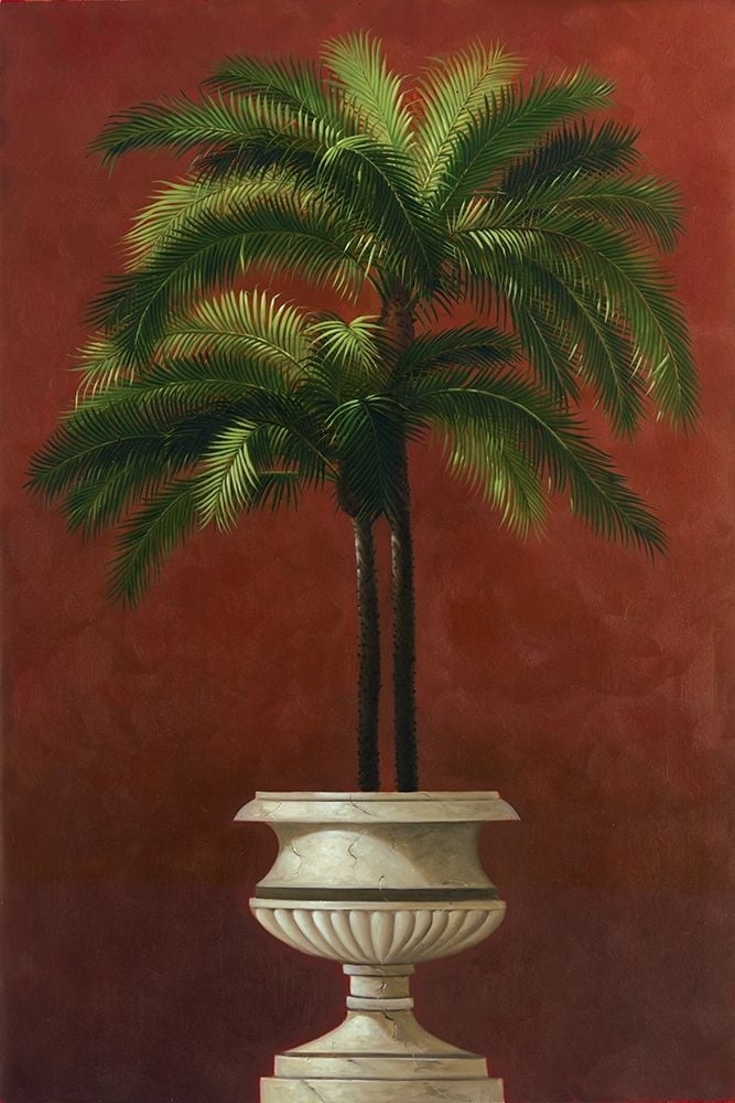Welby ''Potted Orange Tree'' Gallery Wrapped Canvas 12X18 Welby ''Potted Orange Tree'' Gallery Wrapped Canvas 12X18