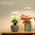 thumbnail image 3 of Grow Light, Full Spectrum LED Plant Light , Height Adjustable Growing Lamp with Auto On/Off Timer 2/4/8H , 4 Dimmable Brightness, 3 of 4