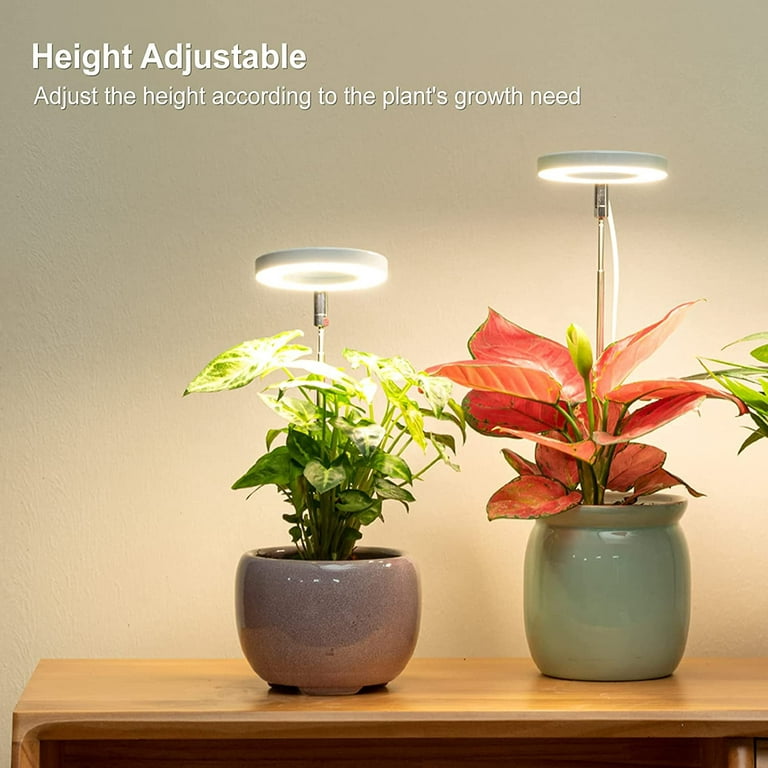 LORDEM Grow Light, Full Spectrum LED Plant Light for Indoor Plants, Height  Adjustable Growing Lamp with Auto On/Off Timer 4/8/12H, 4 Dimmable