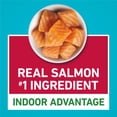 thumbnail image 6 of Purina ONE Plus Indoor Advantage Salmon Flavor Dry Cat Food, 3.5 lb., 6 of 14