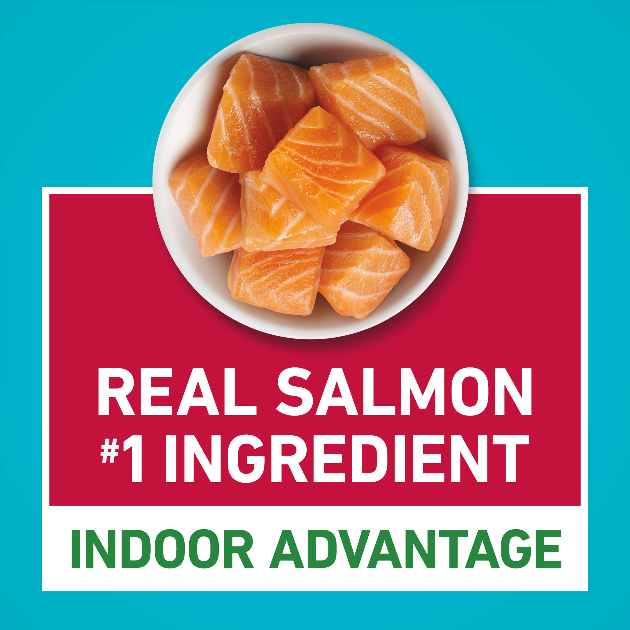 Purina One Plus Indoor Advantage Salmon Dry Cat Food, 7 lb photo 5