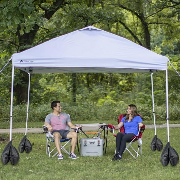 Set of 4  Large Heavy-Duty Canopy Weights Sandbags - 240lbs for Outdoor Tent and  Stability