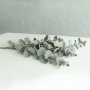 41-inch Artificial Silk Grey Green Eucalyptus Long Stem, for Indoor Use, by Mainstays