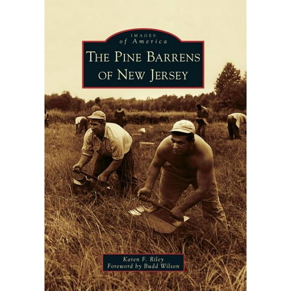 The Pine Barrens of New Jersey (Paperback) by Karen F Riley, Budd Wilson
