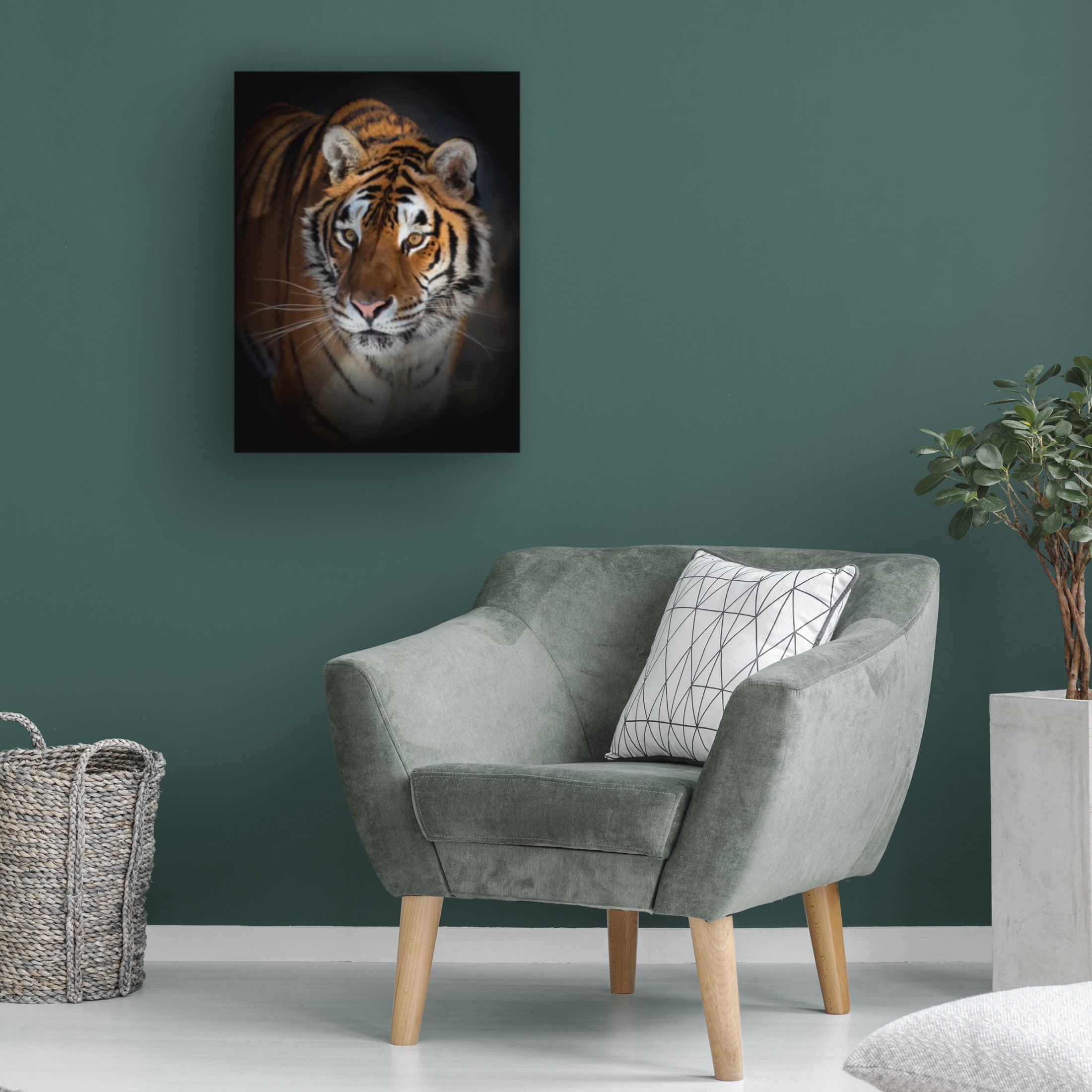 Canvas Wall Art - Jim Cumming 'Portrait Of A Siberian Tiger' Wall Art for Living Room, Bedroom, or Office Décor by Trademark Fine Art - 24 x 32 Inches