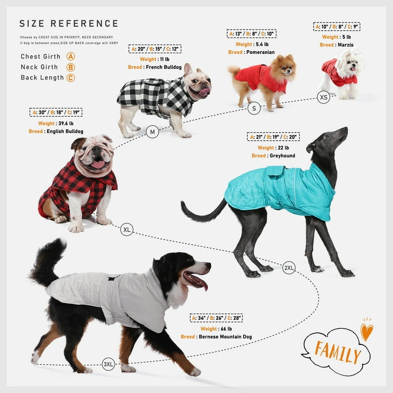 Poundstretcher dog harness 2025