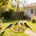 thumbnail image 5 of Hanging Bird Bath Feeder Food Tray Birds Feeds for Feeding Hummingbird, Bluebird, Cardinal, Squirrels, Doves, Seed Holder, Outside Outdoor Garden Decoration for Attracting Wild Birds, 5 of 6