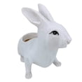 thumbnail image 3 of Christmas Decorations Resin Rabbit Shape Daisy The Planter Swing Face Planter Pot Hanging Resin Flower Head Planters for Indoor and Outdoor Succulent Pots for String of Pearls Ideal Gifts for Mon, 3 of 9