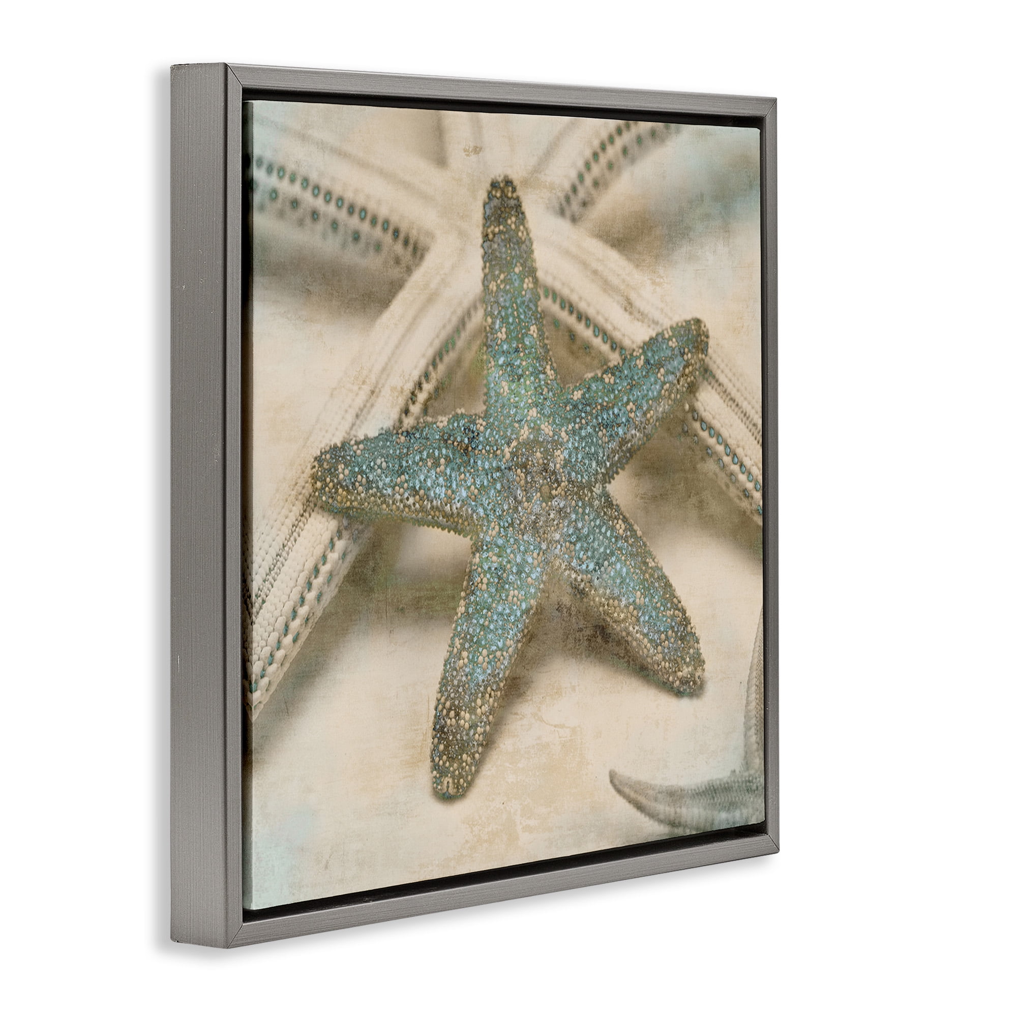 Stupell Industries Distressed Texture Starfish Nature Photography Gray Floater Framed Canvas Art Print Wall Art, 18 x 18