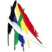MIDWEST DESIGN IMPORTS Touch Of Nature Indian Feathers 6/Pkg-Assorted Colors
