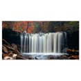 thumbnail image 2 of Chute d'Automne avec Feuillage Coloré - Toile d'Art Mural Paysage Moderne, 2 of 3