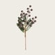 thumbnail image 2 of Arreglos florales y vegetación adecuados para decoraciones de centros de mesa para bodas, arreglos florales para hoteles y hogares., 2 of 4
