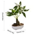 thumbnail image 3 of EDHITNR Artificial Money Tree Bonsai Mini Plastic Green with White Pot Faux Potted for Desk Shelf Decor, Realistic Leaf Texture Small Potted Bonsai Indoor Ornament, 3 of 6