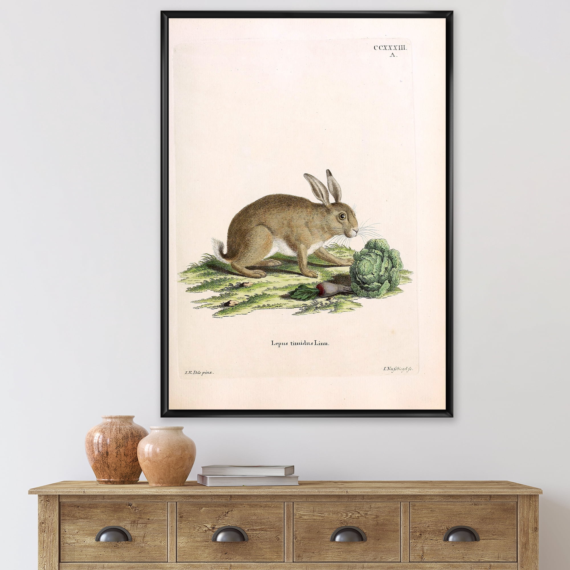 Designart 'Ancient Rabbits In Earth Tones' Farmhouse Framed Canvas Wall Art Print