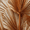 Leaves, variant on Dried Palm Leaf Canvas Print Wall Art for Living Room Bedroom Kitchen Office Entryway