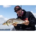 thumbnail image 4 of Yo-Zuri 3D Inshore Fingerling 100 Bone, Fishing Lure, 4 of 5