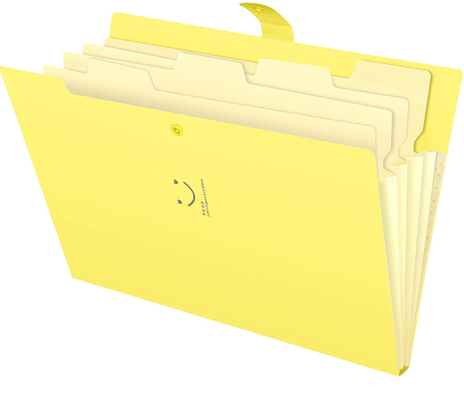 3 Pack Plastic A4 Letter Size Document Organizer with File Folder Labels for School Office Home 01-a Expanding File Folders 