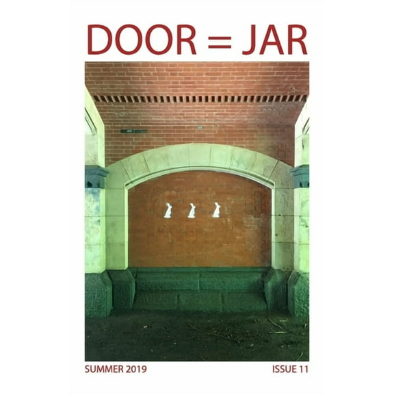 DOOR = JAR Issue 11 : Summer 2019: Door Is A Jar Literary Magazine (Paperback)