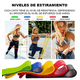 thumbnail image 5 of Set 5 Bandas Elásticas de Resistencia para Yoga, Fitness y Ejercicio – Colores Surtidos, 5 of 6