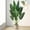 Bop Tree (1PCS), variant on 1/2PCS Artificial Plant Tree, 4/5/6 Feet Tall Faux Bird of Paradise Plant with Black Pot Green Tropical Artificial Plants for Indoor Home Living Room and Offices Decorations