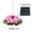 Pink, variant on Solar Fountain Solar Floating Fountain | Leaf & Flower Pond Decor | 1.2w Auto Water Feature | 12"-24" Spray Height | Wireless Garden Fountain Decor Floating Water Feature