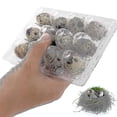 thumbnail image 2 of 100 Uds 12 rejillas caja de huevos de codorniz cajas de huevos de codorniz reutilizables caja de almacenamiento de huevos caja de almacenamiento de huevos transparente Mini dispensador de hu, 2 of 5
