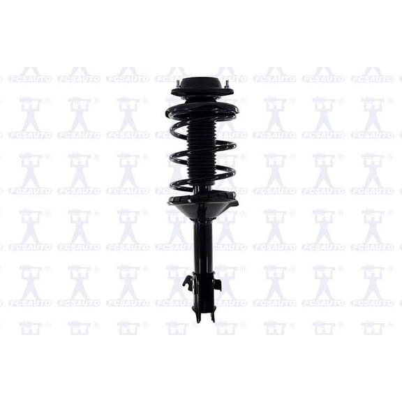 Suspension Strut and Coil Spring Assembly