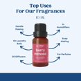 thumbnail image 6 of Scented Premium Fragrance Oil for Aroma Therapy and Home Freshening, 6 of 10