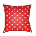 thumbnail image 1 of Surya Americana II 20" x 20" Medium Square Throw Pillow SOL005-2020, 1 of 2