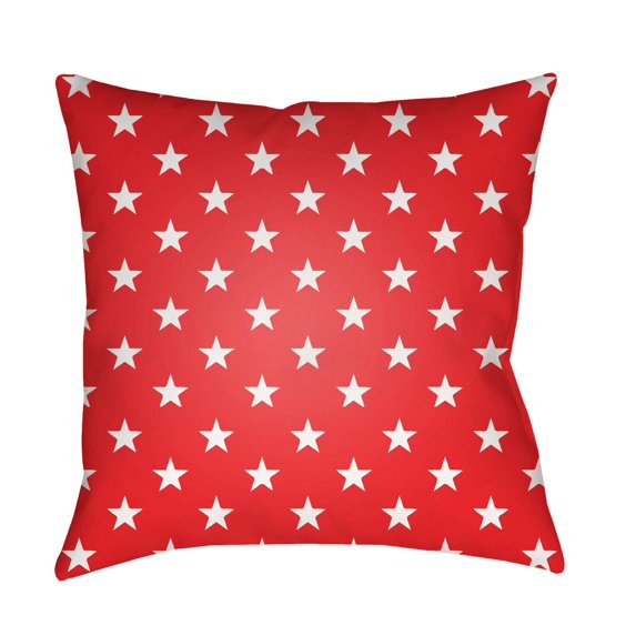 Surya Americana II 20" x 20" Medium Square Throw Pillow SOL005-2020