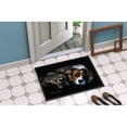 thumbnail image 2 of Cozy Pals with Cavalier Spaniel Doormat 24x36, 2 of 4