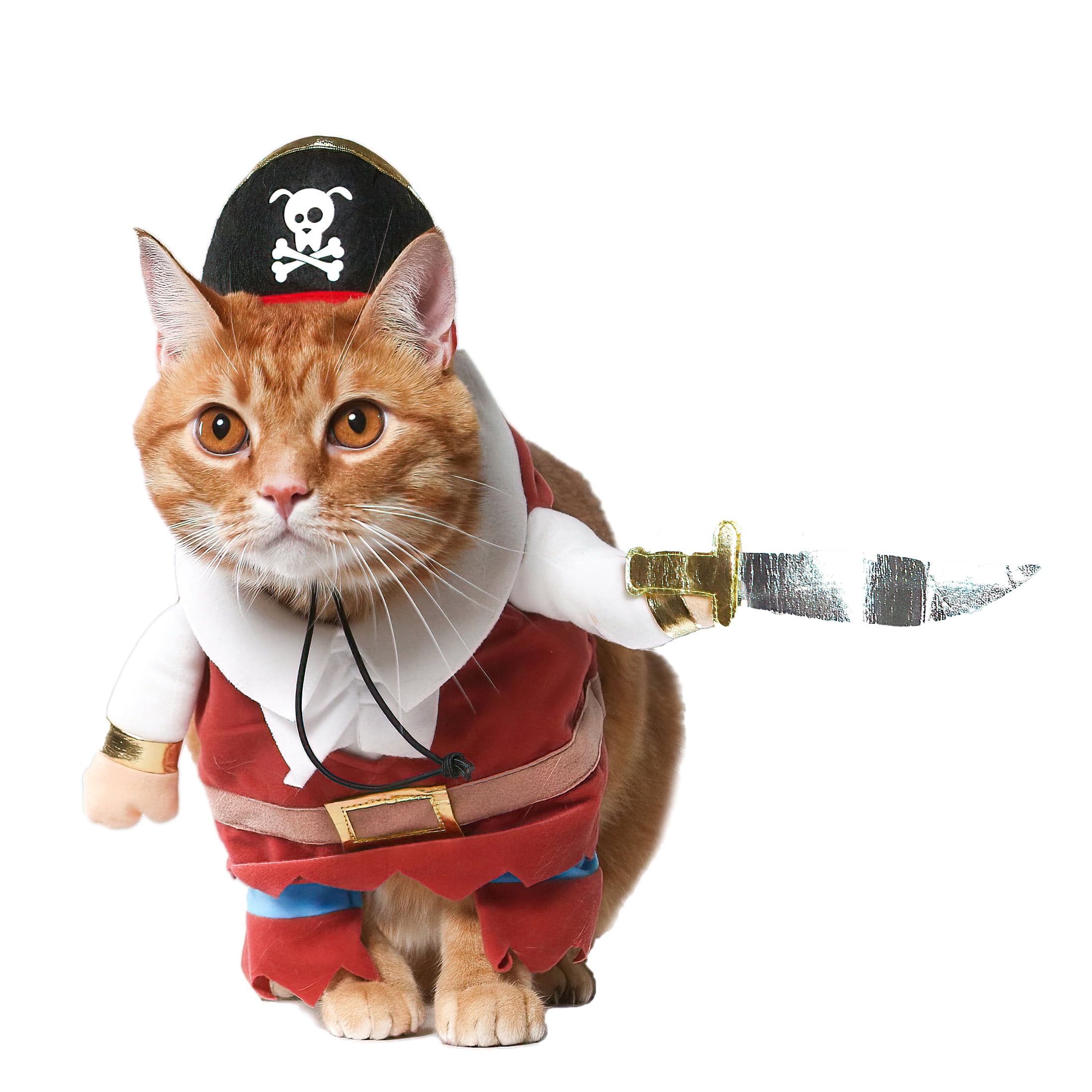 Vibrant Life Vl Hw Costume Pirate Small
