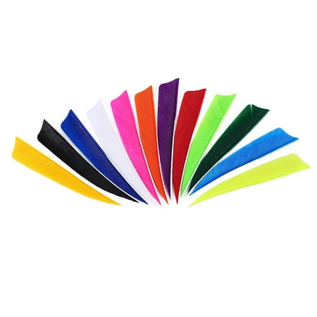 12Pcs 4inch Long Archery Arrow Fletch Full Length Natural Feather for Wood Carbon Fiber Arrows