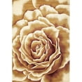 thumbnail image 3 of Corinthian 5338 Ivory Floral Splendor 2'2" x 7'11" Runner Size Area Rug, 3 of 4