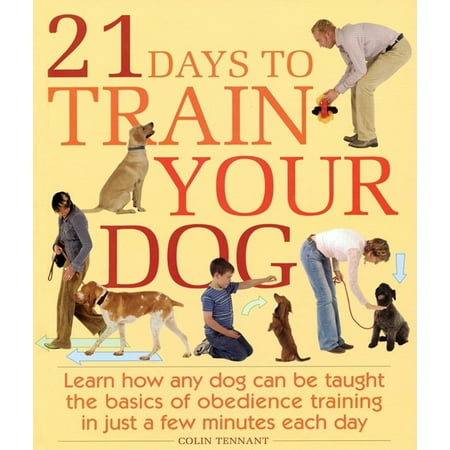 21 Days to Train Your Dog : Learn How Any Dog Can Be Taught the Basics of Obedience Training in Just a Few Minutes Each (Best Friend Training Dog Obedience School)