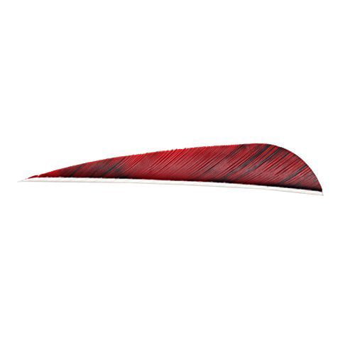 50x 4" 5"  Arrow Parabolic Fletching Feather Left Right Wing for Archery Hunting 